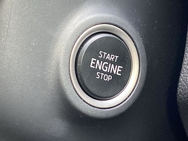 20198498.jpg