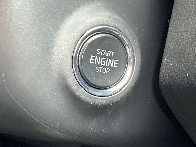 20198492.jpg