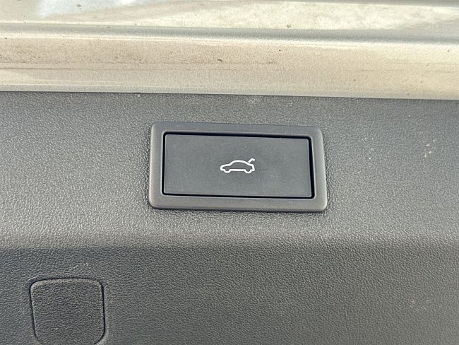 20198490.jpg