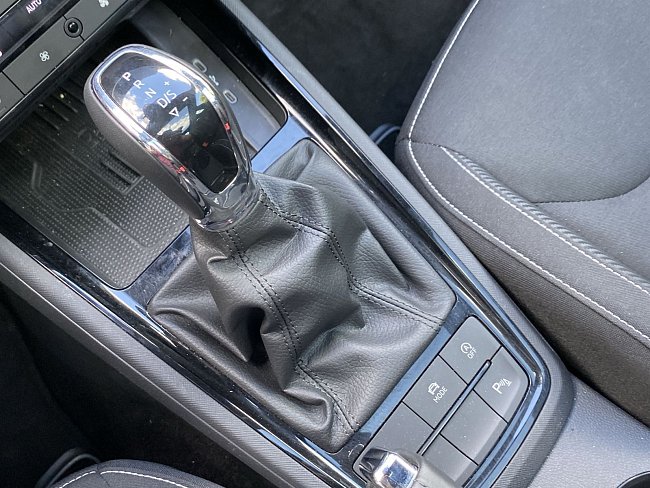 20198466.jpg
