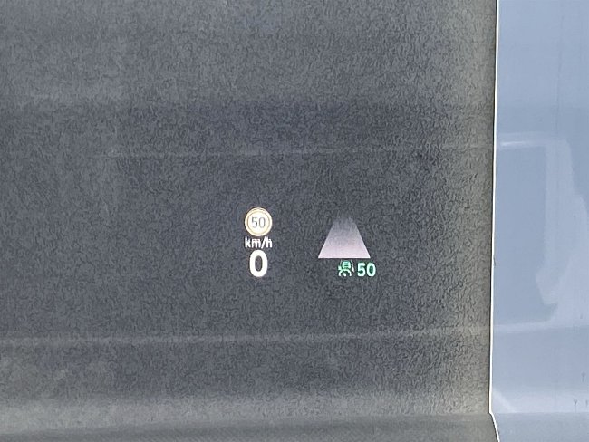 20198486.jpg
