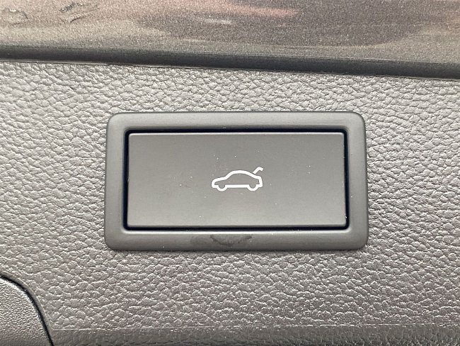 20198520.jpg