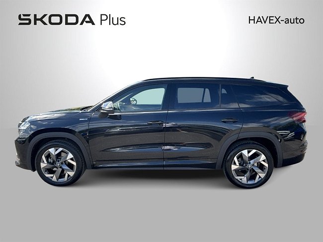 20198823.jpg