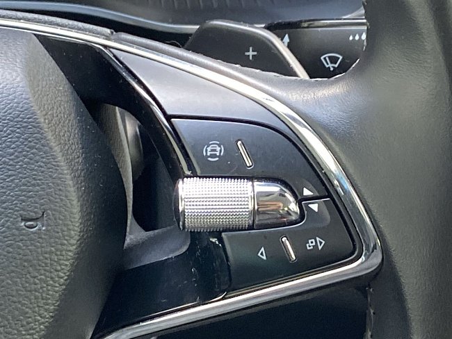 20198835.jpg