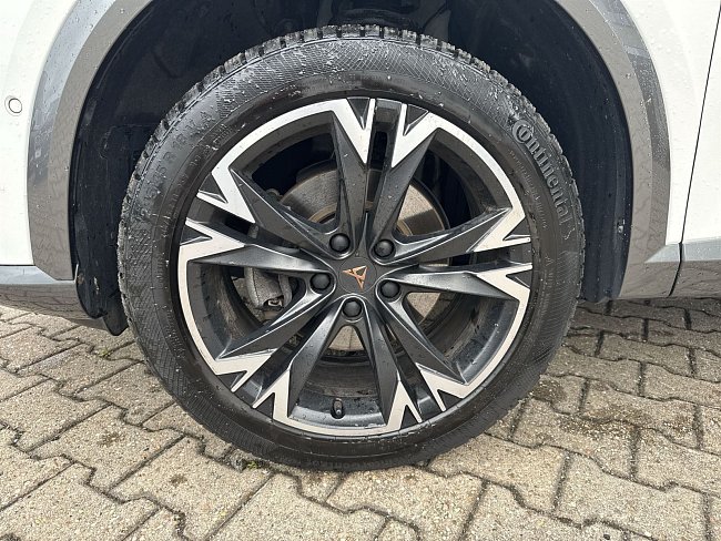 20198820.jpg