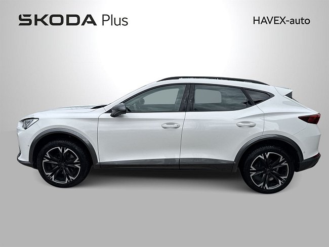 20198834.jpg