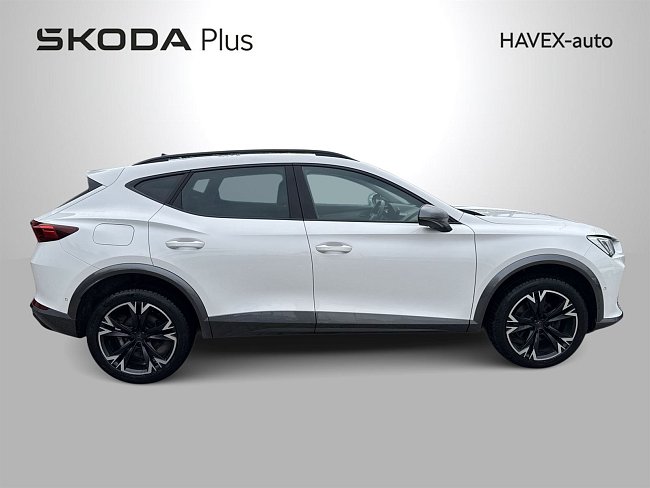 20198838.jpg