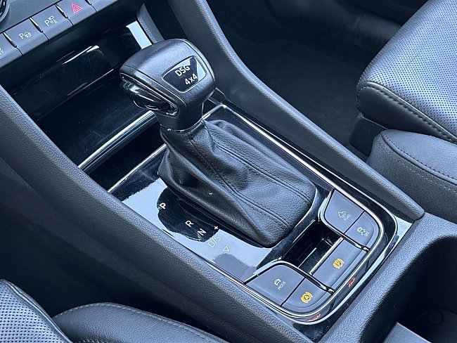 20198832.jpg