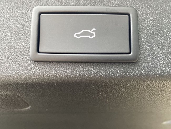 20198831.jpg