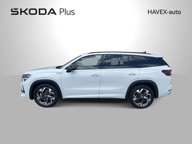 20198791.jpg