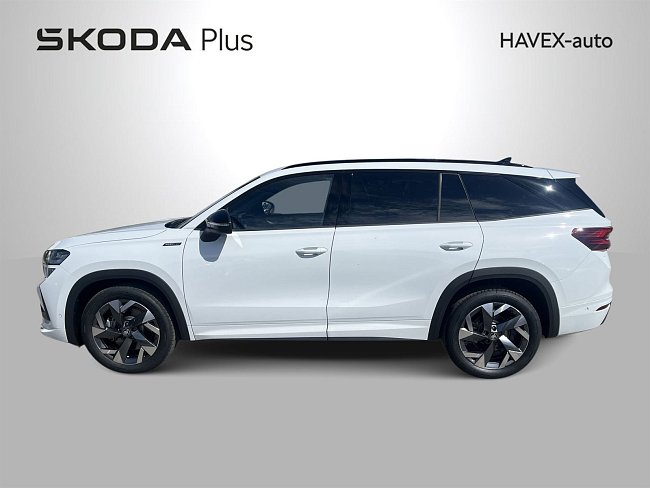 20198788.jpg