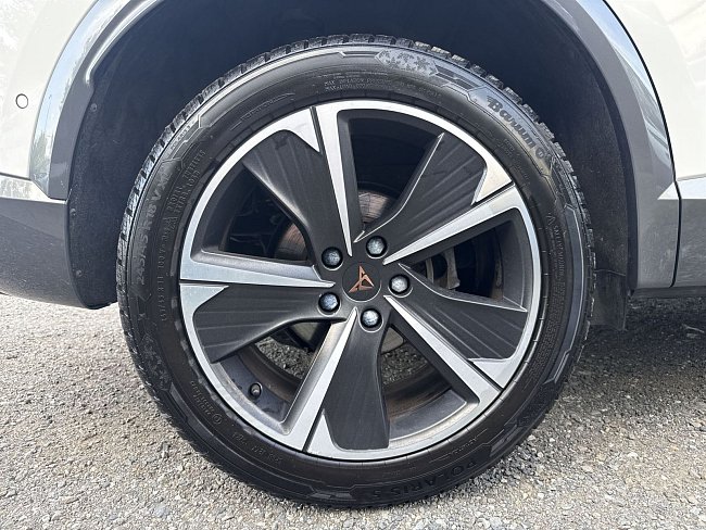 20198803.jpg