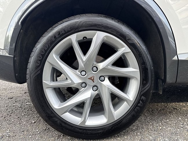 20198801.jpg