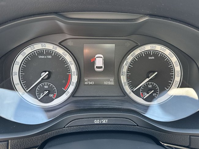 20198795.jpg