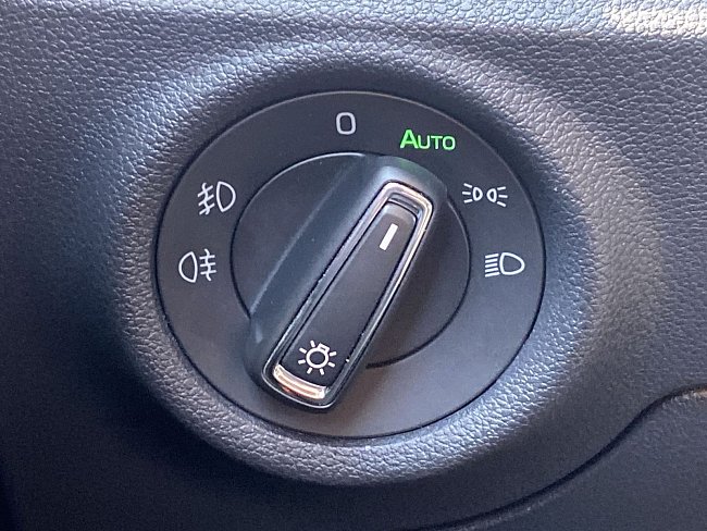 20198897.jpg
