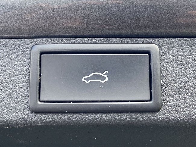 20198872.jpg