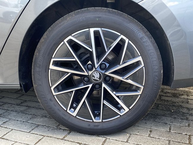 20198877.jpg