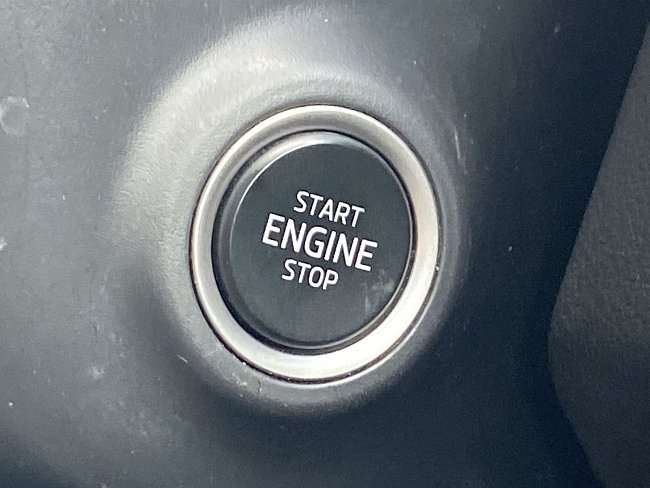 20198887.jpg