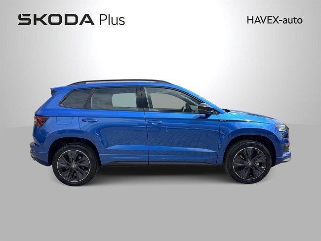 20198877.jpg