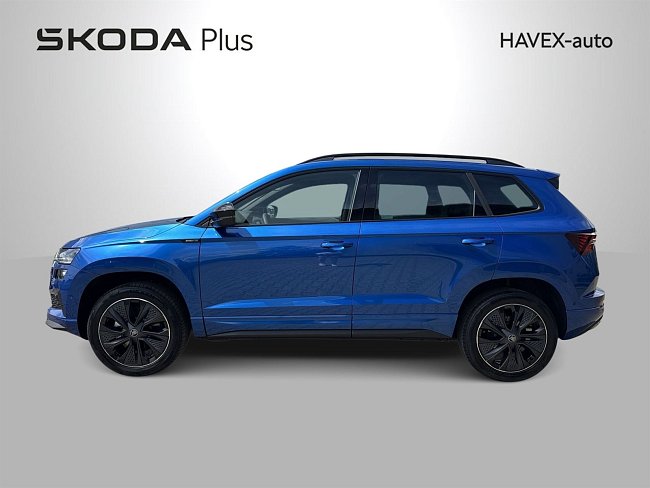 20198881.jpg