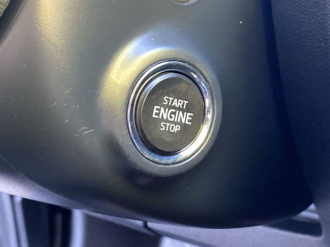 20198881.jpg