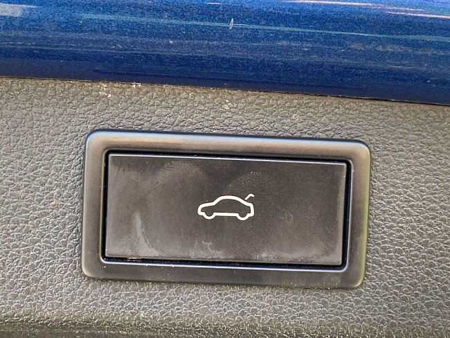 20198876.jpg