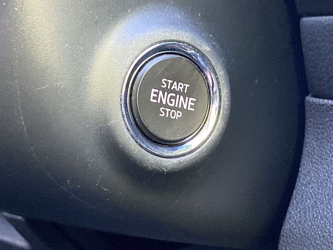 20198886.jpg