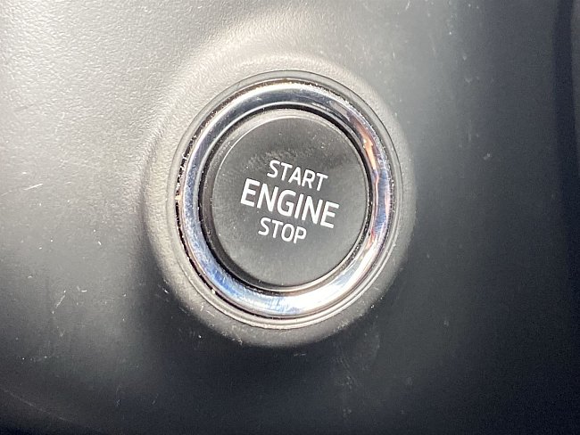 20198878.jpg