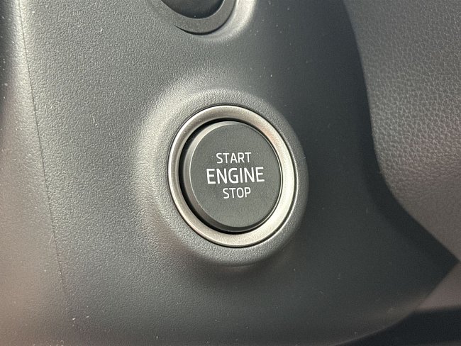 20198862.jpg