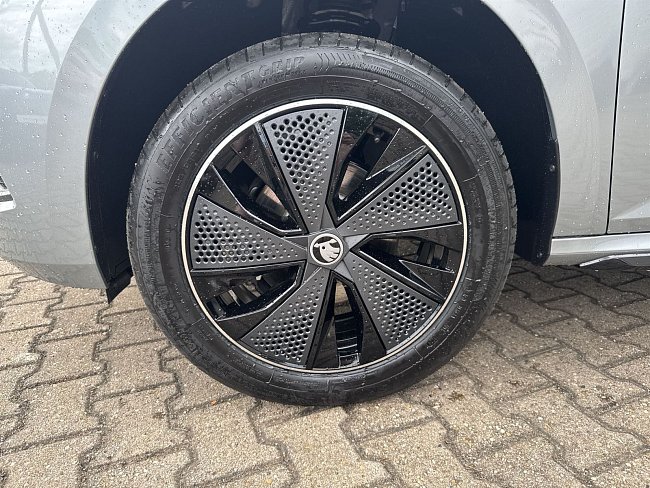 20198870.jpg