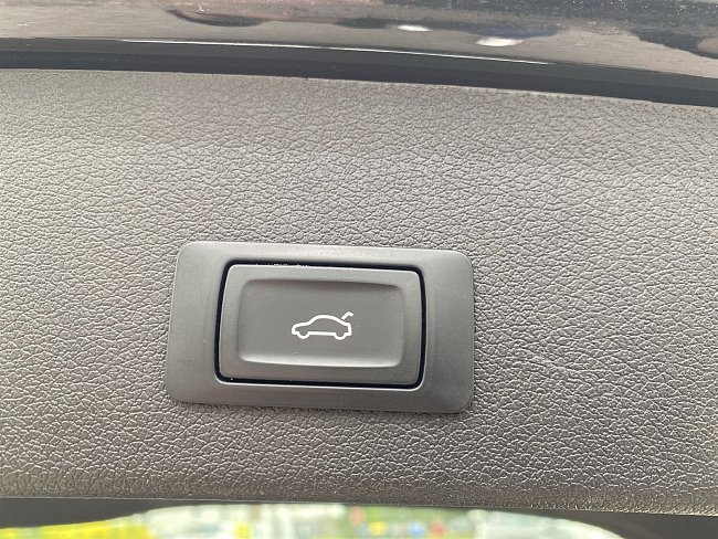 20198886.jpg