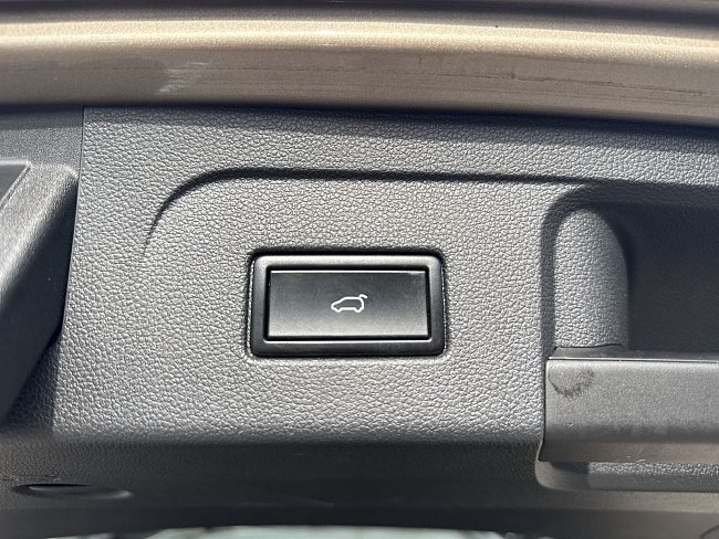 20198875.jpg