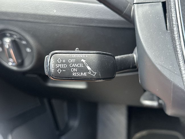 20198849.jpg