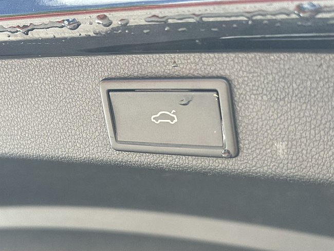 20198872.jpg