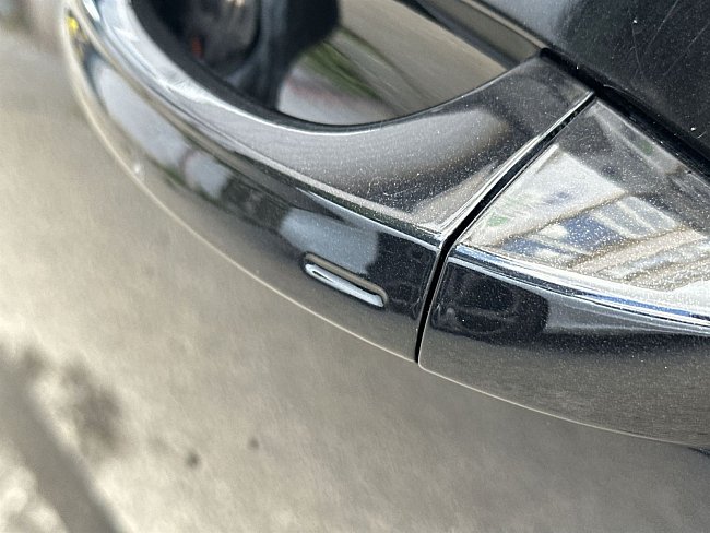 20198873.jpg