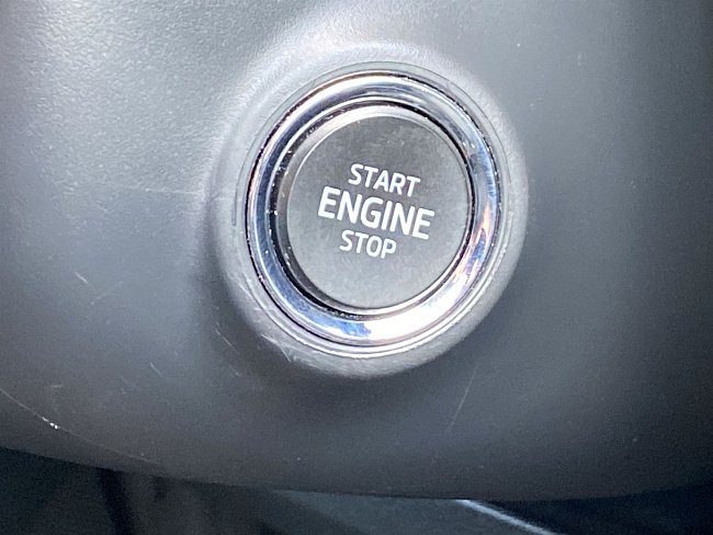 20198863.jpg