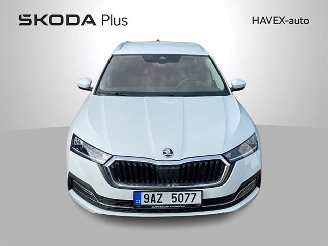 20198879.jpg