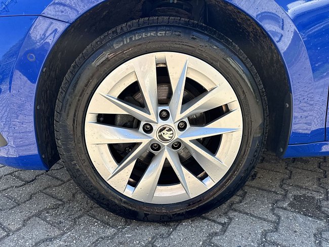 20198861.jpg