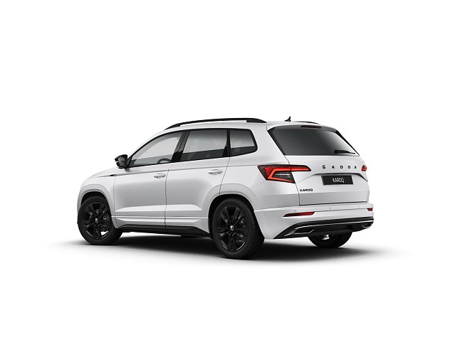 20198875.jpg