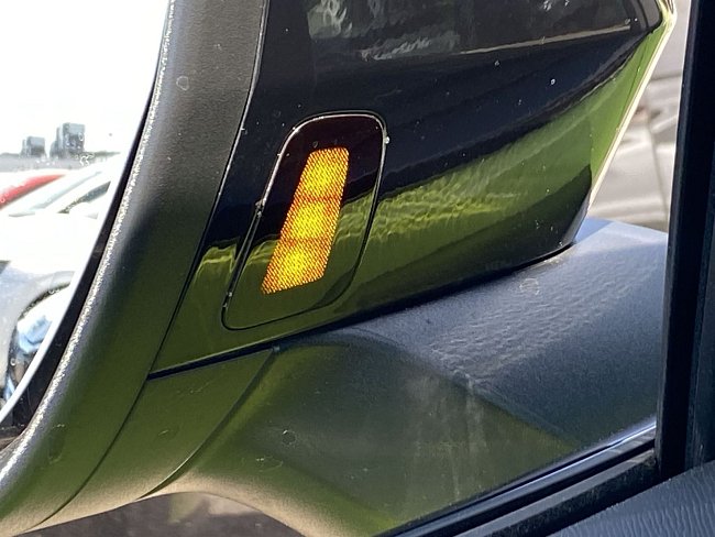 20198850.jpg