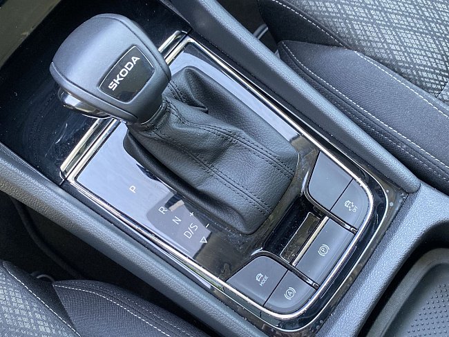 20198857.jpg