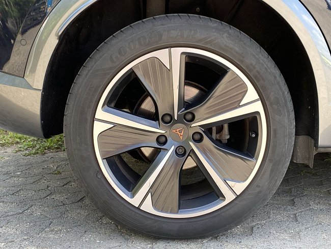 20198656.jpg