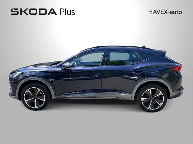 20198689.jpg