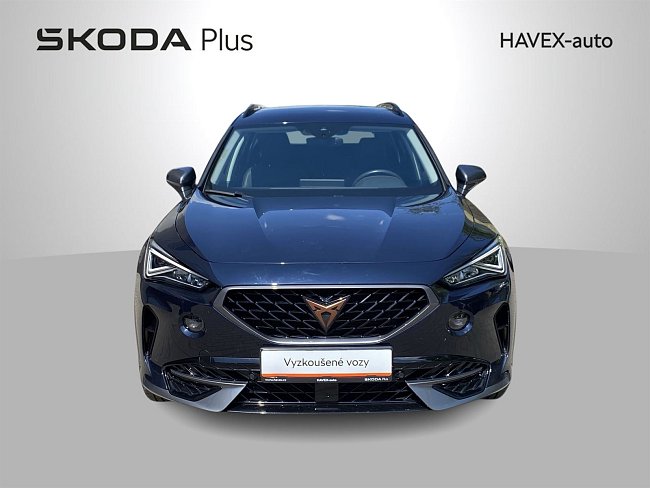 20198695.jpg