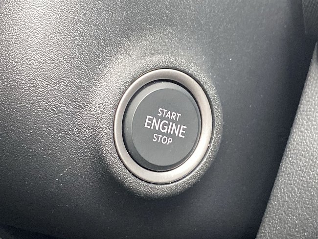 20198656.jpg