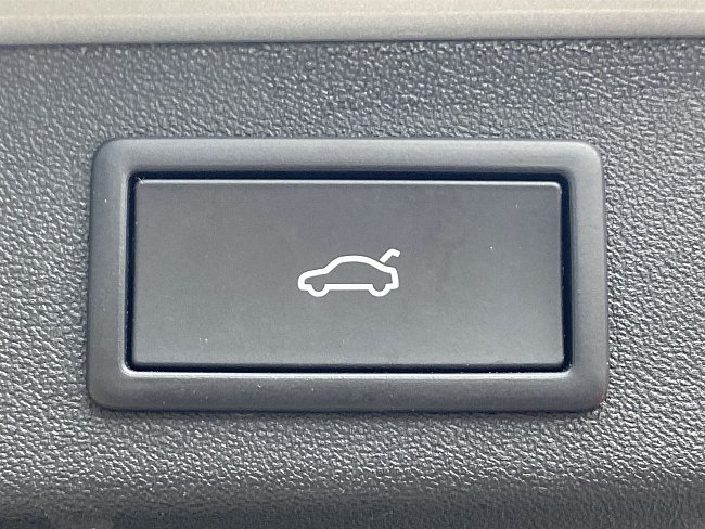 20198670.jpg
