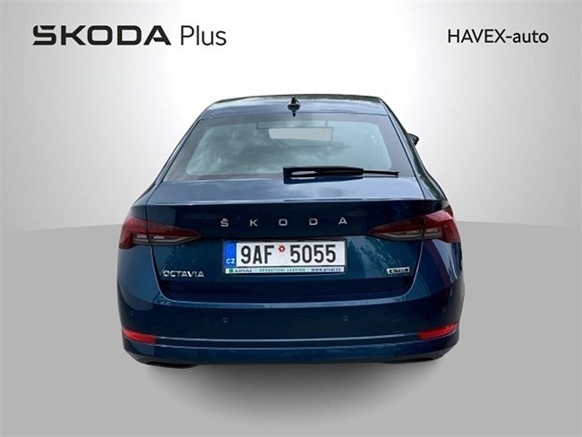 20198689.jpg