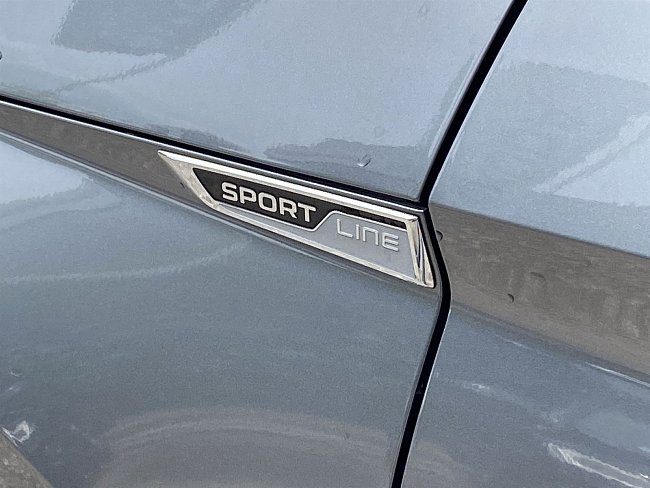 20198667.jpg