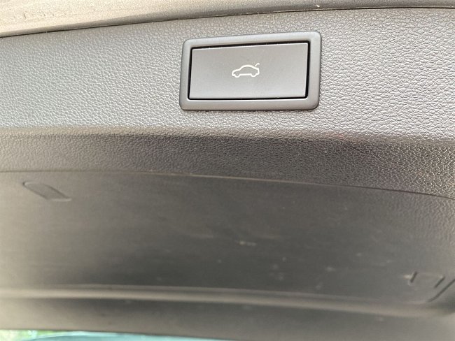 20198689.jpg