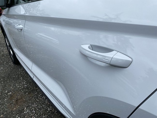 20198677.jpg